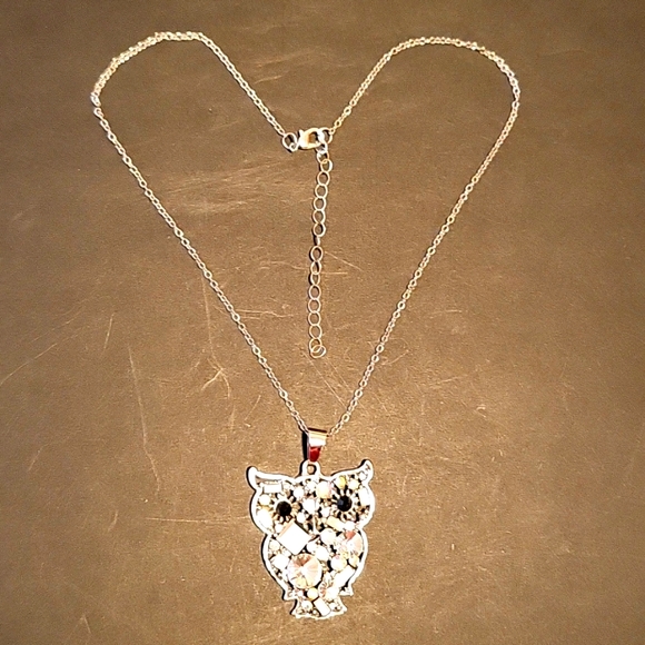 💥HOST PICK💥NWOT Adorable Owl Pendant,  Silver-tone Chain, 17-20" Chain - Picture 3 of 5